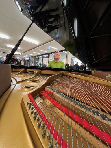 Blick über die Saiten eines Konzertflügels auf Carsten Esser in den Bilker Arcaden in Düsseldorf.